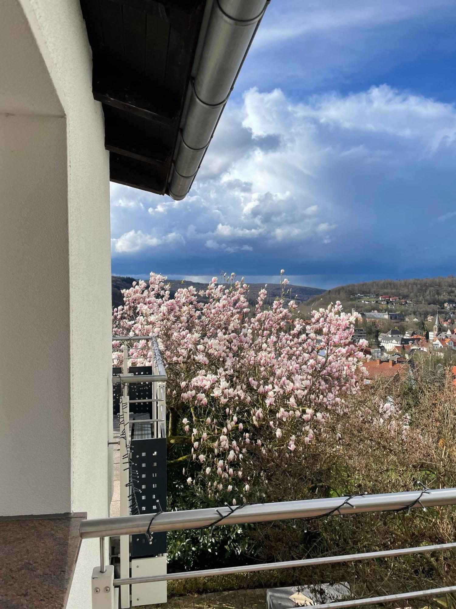 Ferienhaus Chalet Andante Hannoversch Münden Exteriör bild